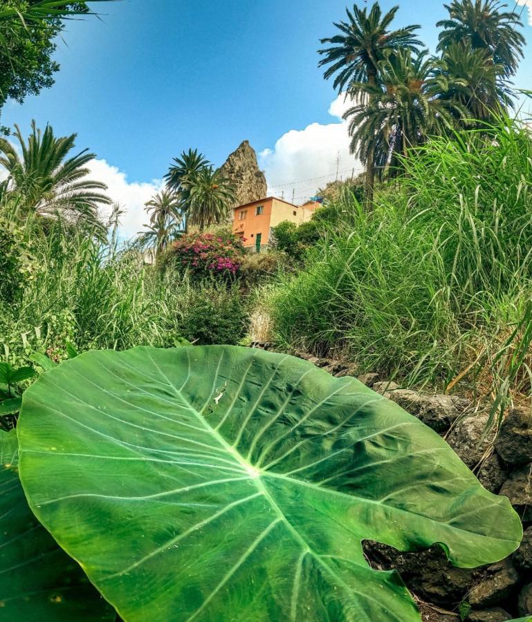 Casa Buganvilla Hermigua Exterior photo